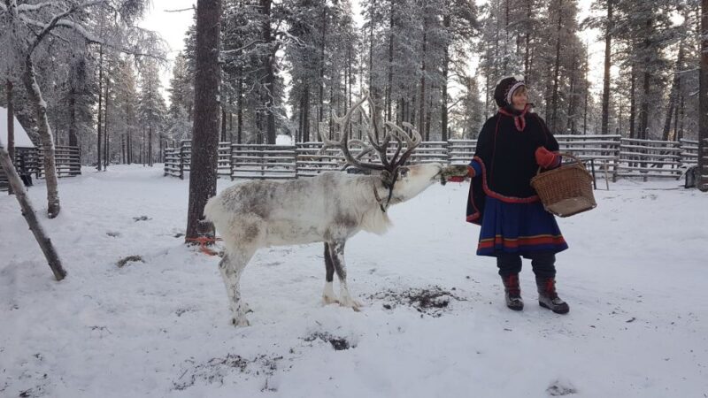 Ivalo: Northern Lights Holiday in Northern Lapland - Discovering Lappish Culture
