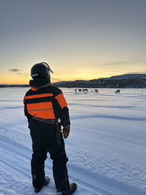 Ivalo: Snowmobile Safari, Meet&Feed Reindeers, Inc Lunch - Trail Distance