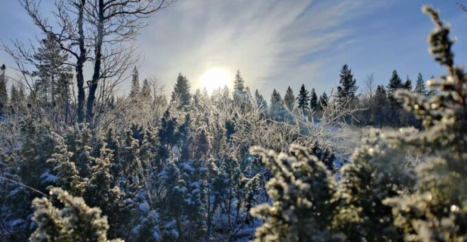 Ivalo: Winter Short Break in Northern Lapland - Meals and Outdoor Experiences
