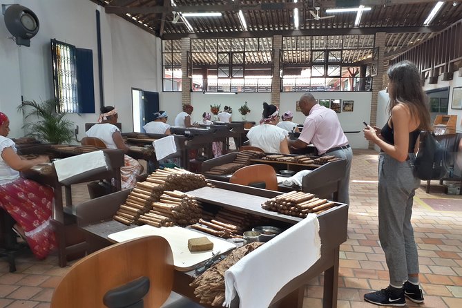 Ivan Bahia, Recôncavo Baiano: Cachoeira & Coqueiros Including Mangrove Trip + Lunch - Start Time and Confirmation