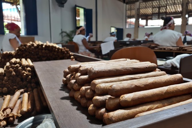 Ivan Bahia, Recôncavo Baiano: Cachoeira & Coqueiros Including Mangrove Trip + Lunch - Ratings and Reviews