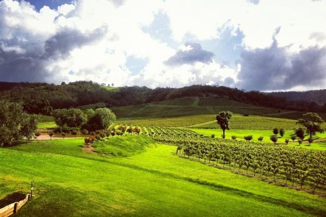 Ivanhoe Wines: Trip Advisor Premium Wine Tasting - Service Animal Accommodations