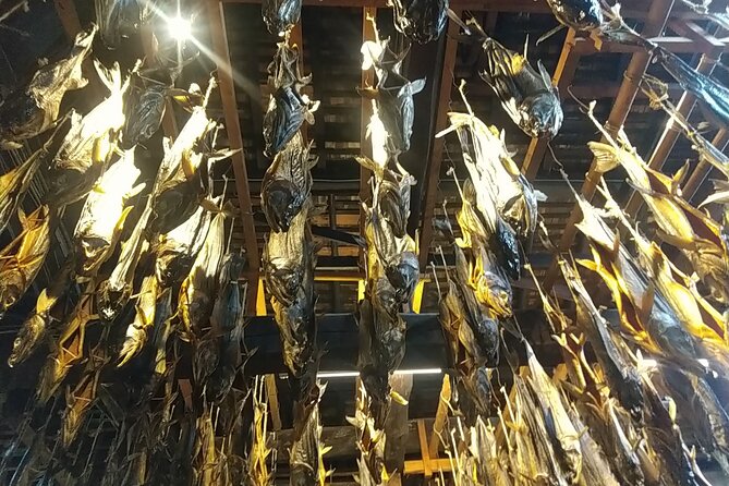 Iwafune Festival and Murakami Private Tour - Key Points
