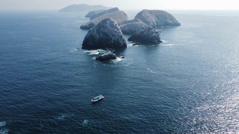Ixtapa: 7 Islands Boat Tour - Guided Tour Details