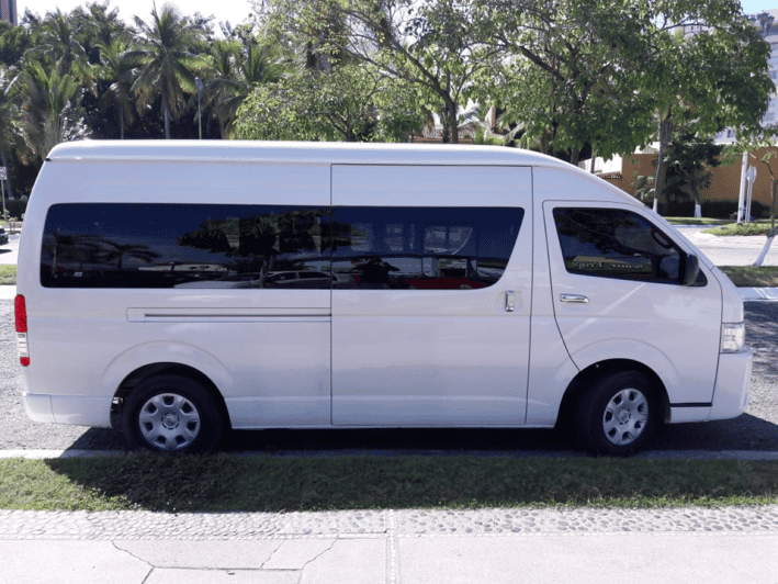 Ixtapa: Airport Transfer in a 10-Passenger Van - Experience Highlights