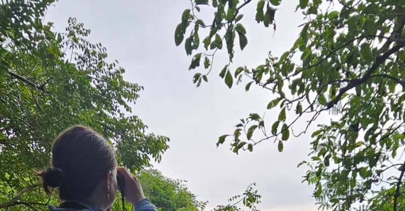 Ixtapa: Aztlan Birdwatching Adventure - Key Points