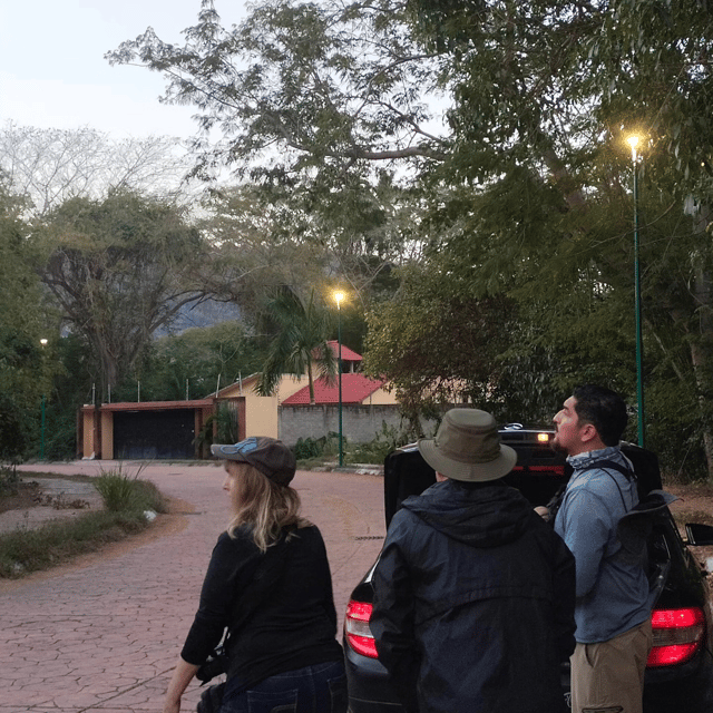 Ixtapa: Bird Watching Tour With Round-Trip Transportation - Key Points