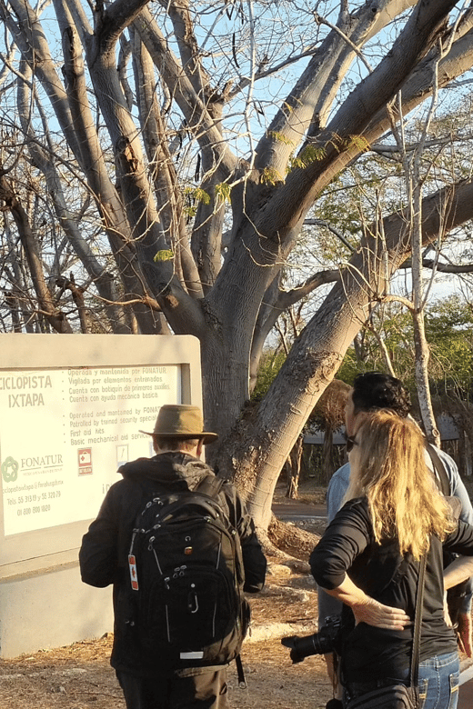 Ixtapa: Bird Watching Tour With Round-Trip Transportation - Transportation and Flexibility