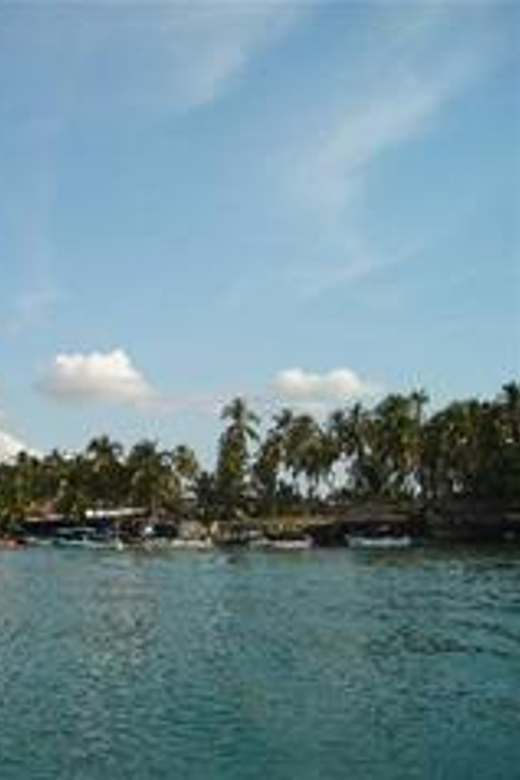 Ixtapa City and Countryside 1-Day Tour Mexico - Experience Highlights