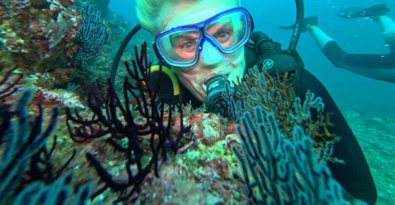 Ixtapa: Discover Diver Course - Booking Information