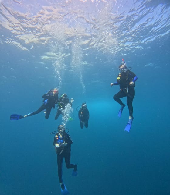 Ixtapa: Discover Diver Course - Experience Highlights