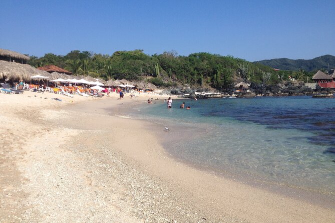 Ixtapa Island Tour - Tour Experience and Customer Feedback
