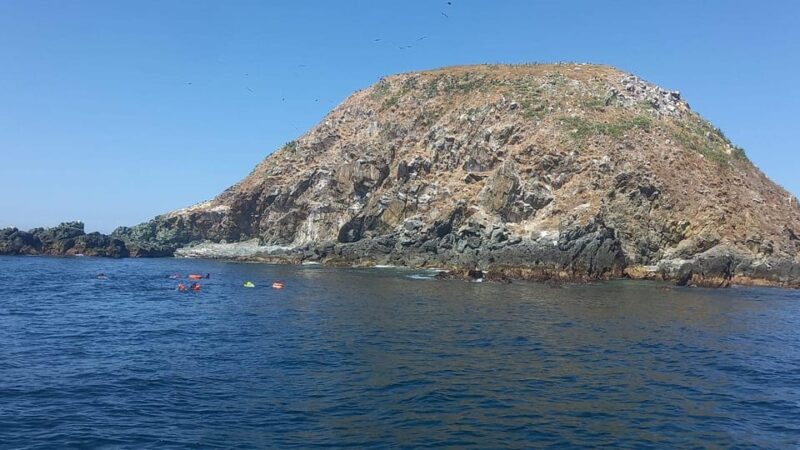 Ixtapa: Marine Life Exploration - Tour Experience