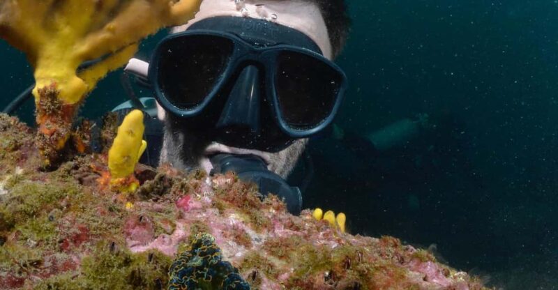 Ixtapa: Nighttime Underwater Exploration at Piedra Solitaria - Experience Highlights
