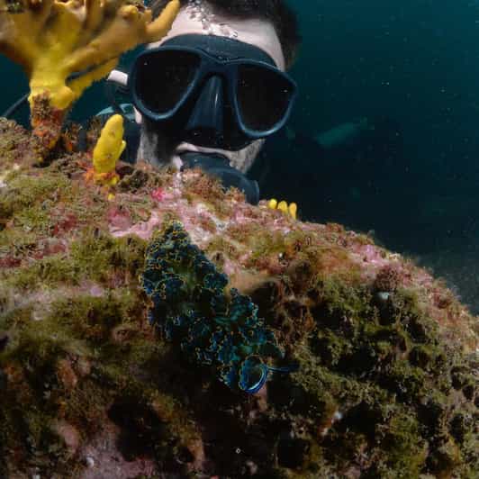 Ixtapa: Nighttime Underwater Exploration at Piedra Solitaria - Safe and Guided Diving Experience