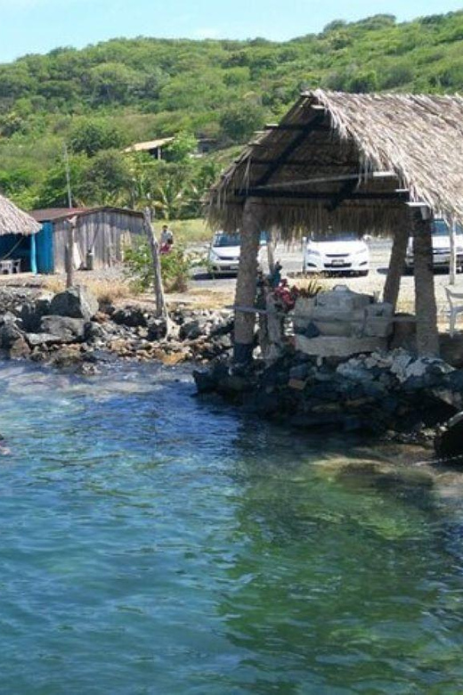 Ixtapa: Puerto Vicente Guerrero Day Tour - Itinerary Details