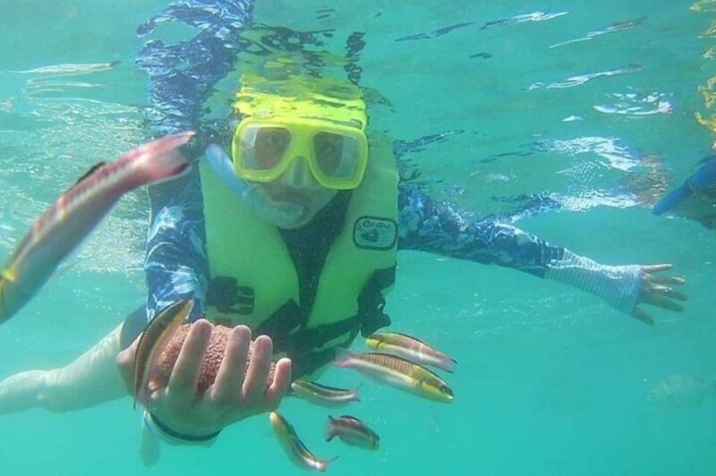 Ixtapa: Snorkeling Tour to Ixtapa Island - Exploring Ixtapa Islands Underwater World