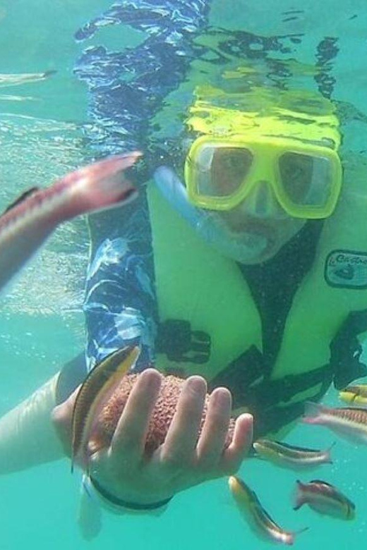 Ixtapa: Snorkeling Tour to Ixtapa Island - Delicious Seafood Meal on the Island