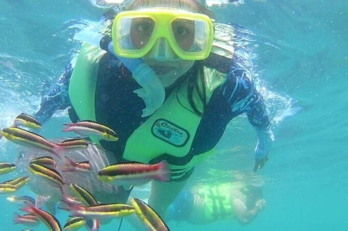 Ixtapa: Snorkeling Tour to Ixtapa Island - Availability and Participant Selection