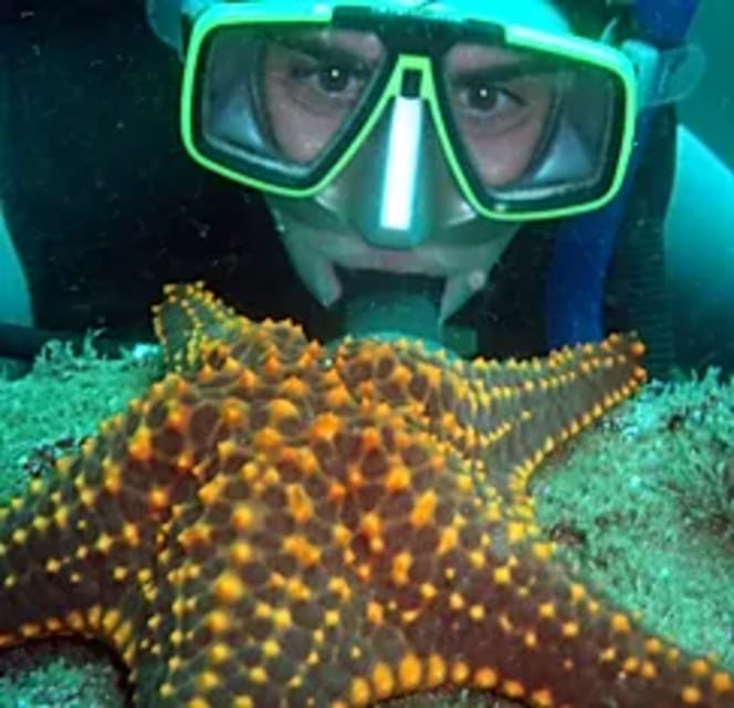 Ixtapa: Underwater Adventures in Zihuatanejo - Experience Highlights