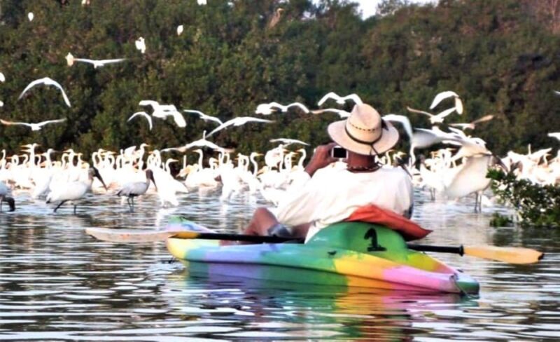 Ixtapa Zihuatanejo: Kayak Tour at Barra De Potosí - Scenic Barra De Potosí
