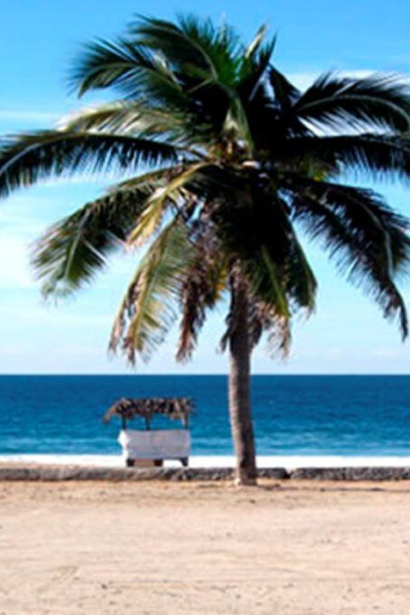 Ixtapa Zihuatanejo: Van Charters - Scenic Coastal Drives