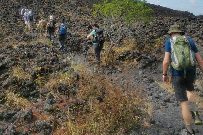 Izalco Volcano Hiking ( Private Tour ) + Lake Coatepeque - Pickup and Accessibility