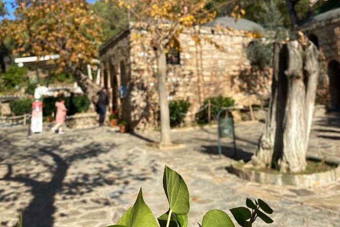 Izmir to Private Ephesus - Artemission Temple-Mother Marys House - Additional Tour Details and Inclusions