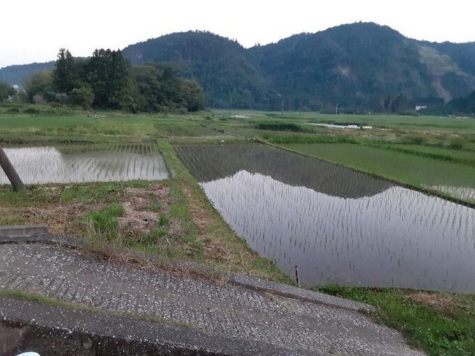 Izu Peninsula: Ike Village Experience - Getting to Ike Village