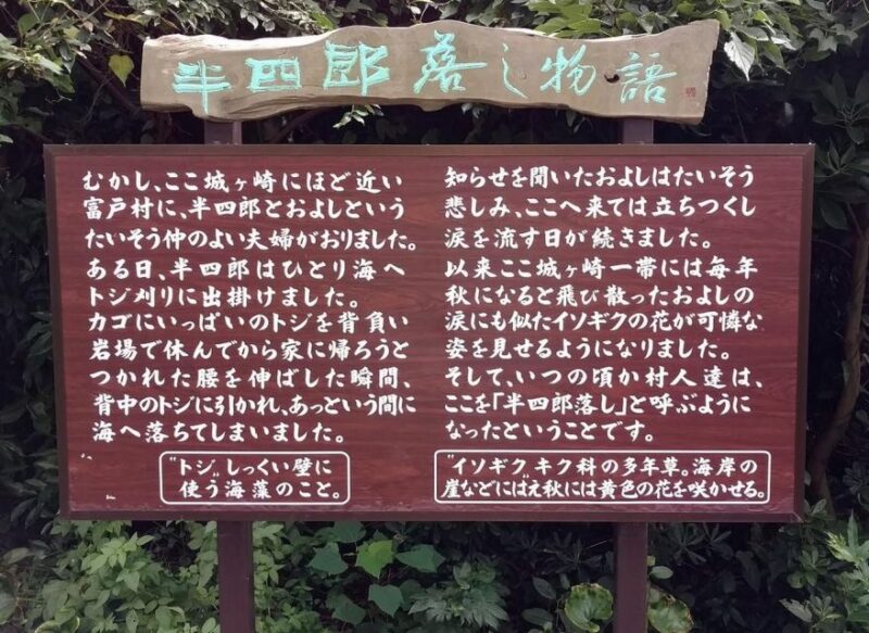 Izu Peninsula: Jogasaki Coast Experience - Flora and Fauna of Jogasaki Coast