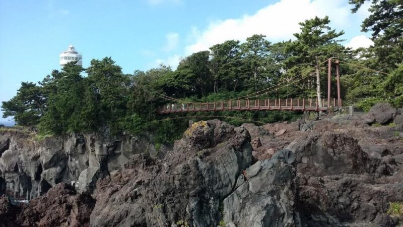 Izu Peninsula: Jogasaki Coast Experience - Futo Villages History and Culture