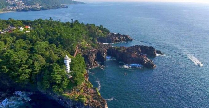 Izu Peninsula: Jogasaki Coast Experience - Geological Wonders of the Region