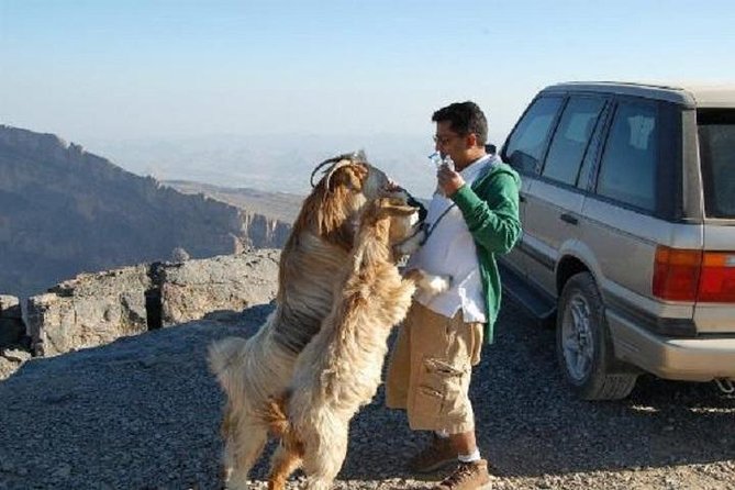 Jabl Shams With Nizwa for Tours and Sightseeing - Pickup and Schedule Details