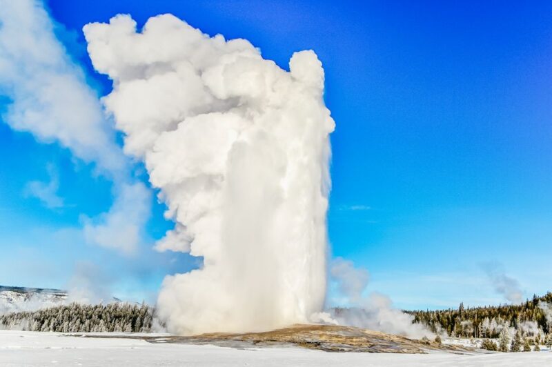 Jackson: 2-Day Yellowstone National Park Tour With Lunches - Included Services
