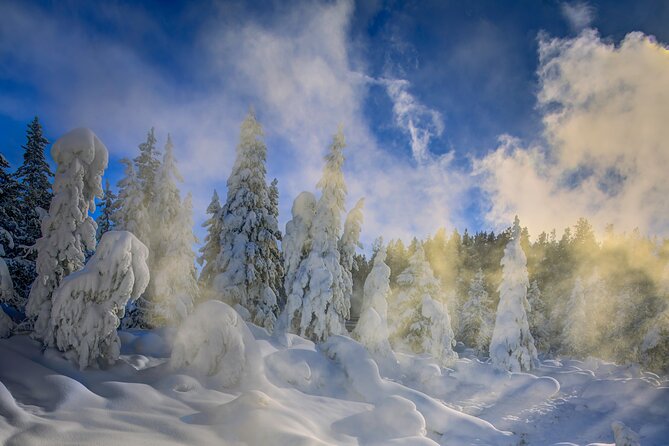 Jackson 4-Day and 3-Night Grand Teton and Yellowstone Winter Tour - Additional Information