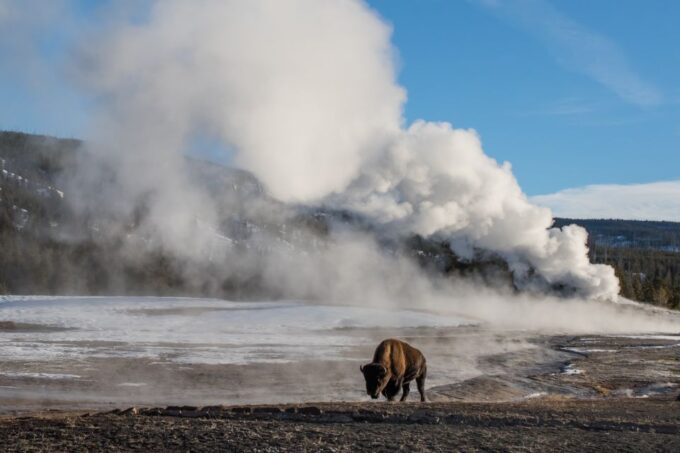 Jackson: 4-Day Grand Teton & Yellowstone Winter Tour - Day 4: Return to Jackson Hole
