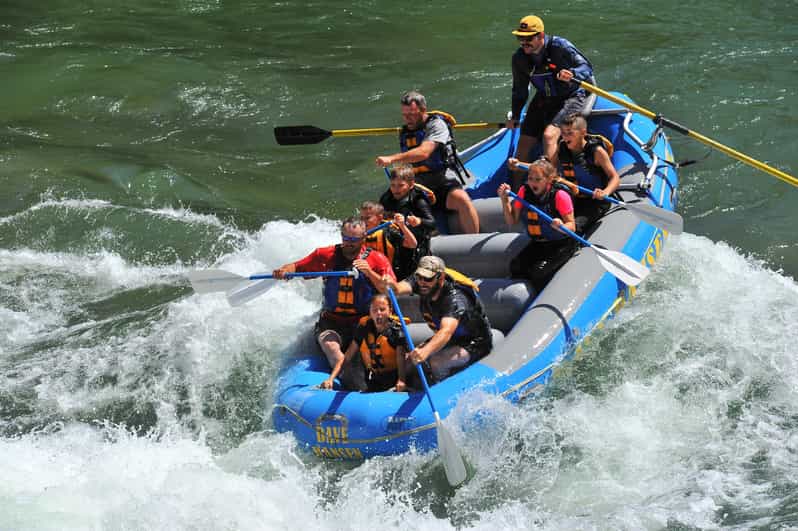 Jackson: 4-Hour Small Boat Snake River Whitewater Rafting - Booking and Reservations