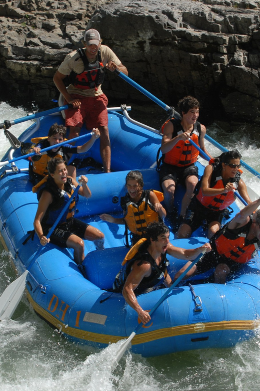 Jackson: 4-Hour Small Boat Snake River Whitewater Rafting - Rafting Experience