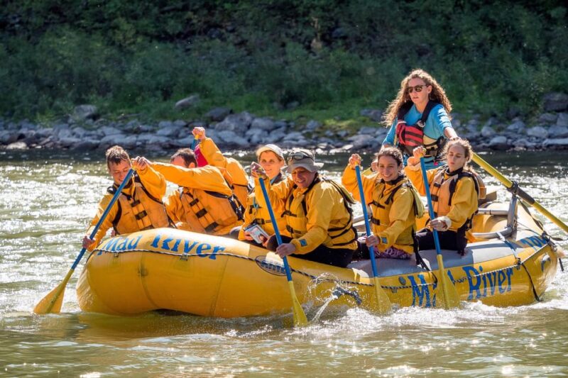 Jackson: 8-Mile Small-Boat Whitewater Rafting Trip - Inclusions and Safety Information