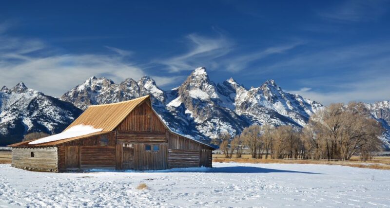 Jackson: Grand Teton, Bighorn Sheep, and Petroglyphs Tour - Wildlife Sightings