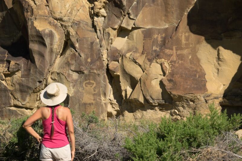 Jackson: Grand Teton, Bighorn Sheep, and Petroglyphs Tour - Scenic Drives