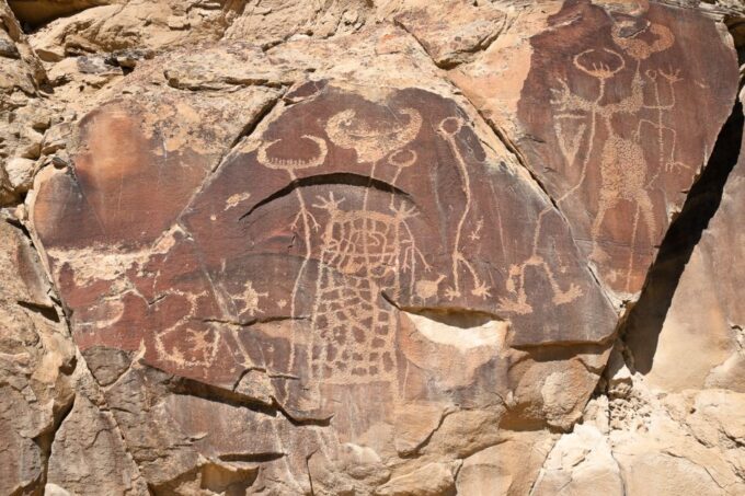 Jackson: Grand Teton, Bighorn Sheep, and Petroglyphs Tour - Cancellation Policy