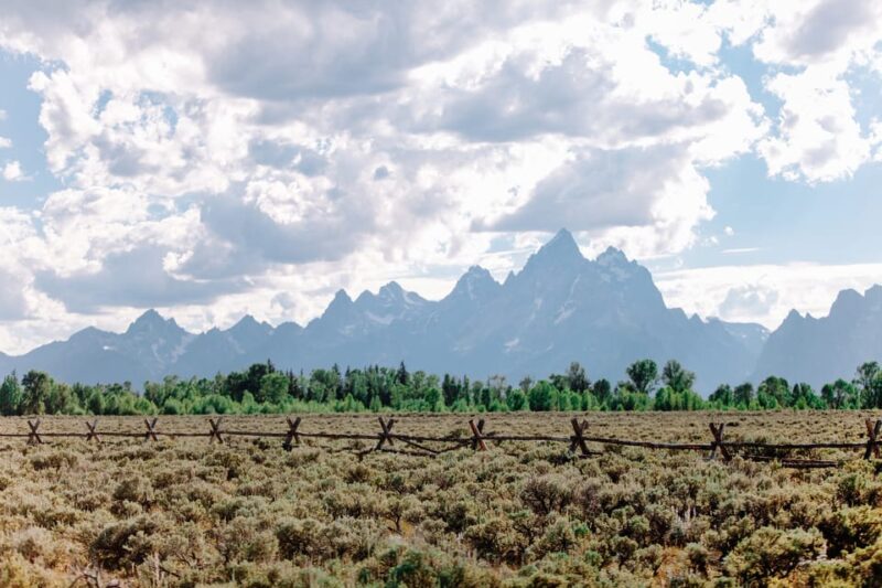 Jackson: Grand Teton Sunrise Safari With Naturalist Guide - Key Points