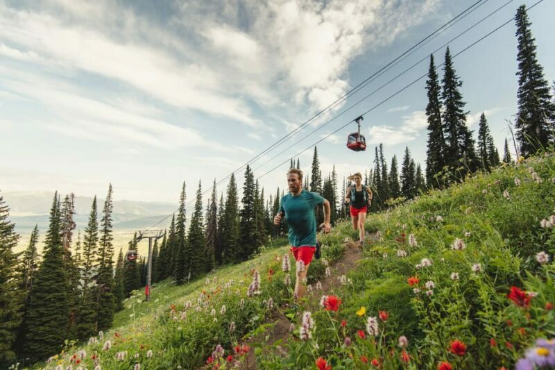 Jackson Hole: Aerial Tram and Gondolas Sightseeing - Who Should Consider This Tour?