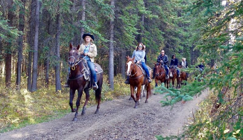 Jackson Hole: Bridger-Teton National Forest Horseback Ride - Key Points