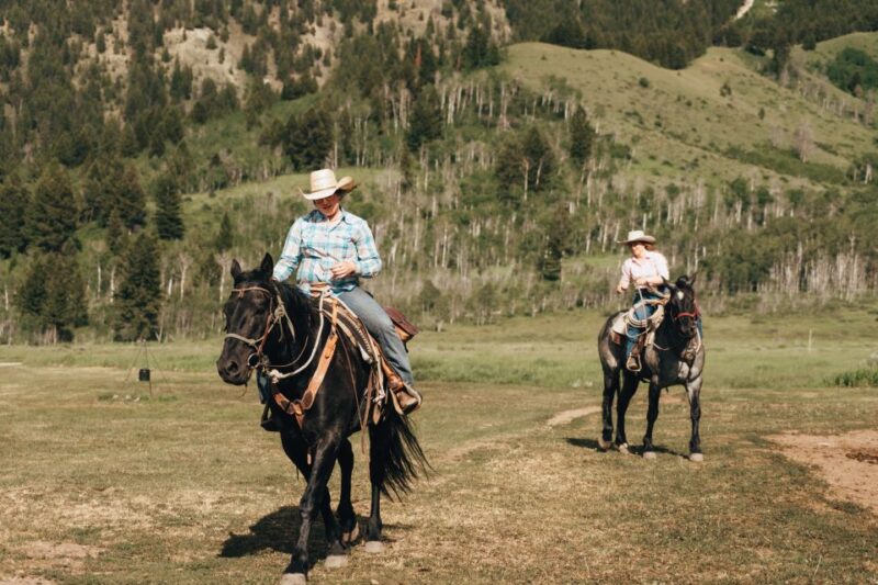 Jackson Hole: Bryan's Flat Guided Scenic Horseback Ride - Horse Selection and Safety