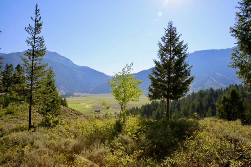 Jackson Hole: Bryan's Flat Guided Scenic Horseback Ride - Meeting Location and Directions