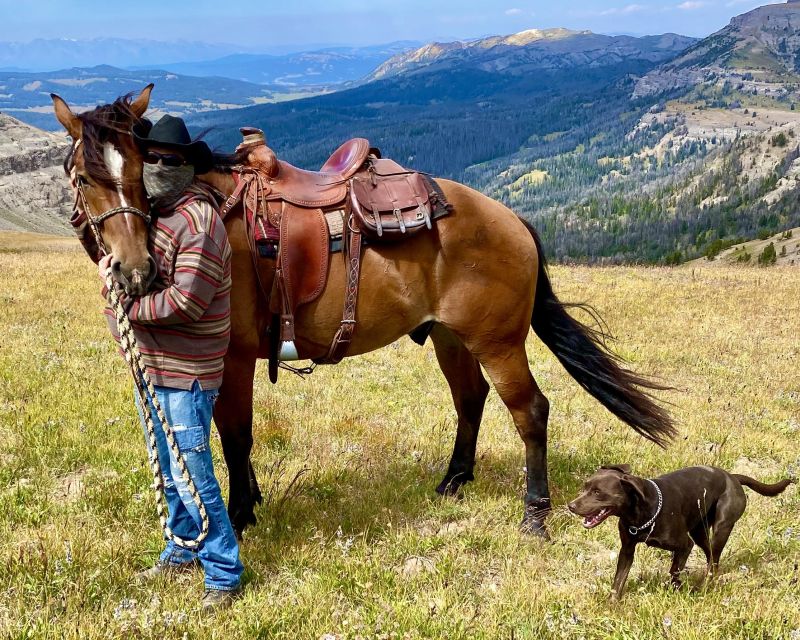 Jackson Hole: Dinner Cookout & Bridger-Teton Horseback Ride - Experience Highlights
