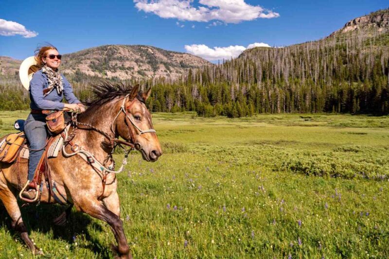 Jackson Hole: Dinner Cookout & Bridger-Teton Horseback Ride - Important Information