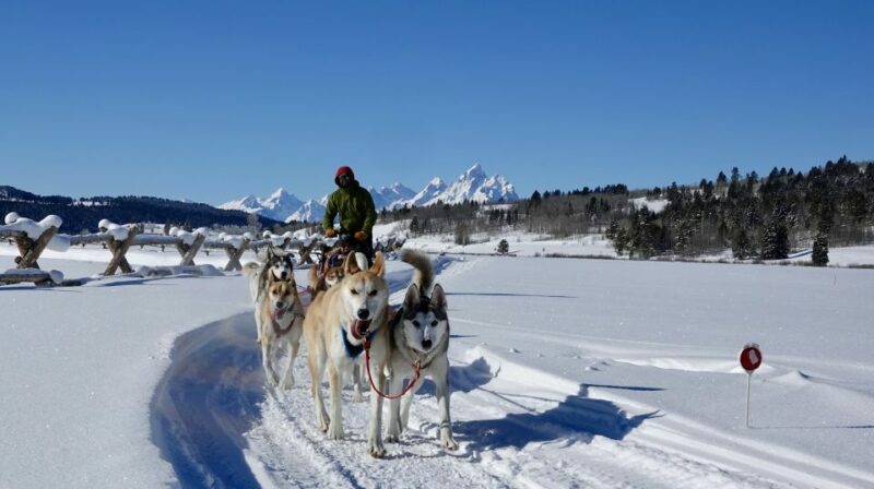 Jackson Hole: Dogsledding Tour with Hot Chocolate - Who is it best for?